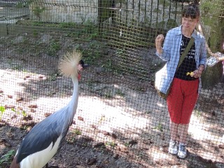 Wycieczka do ZOO w Zamościu 