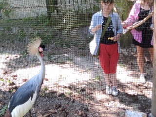 Wycieczka do ZOO w Zamościu 