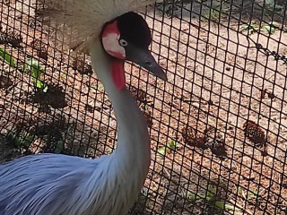 Wycieczka do ZOO w Zamościu 