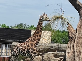 Wycieczka do ZOO w Zamościu 