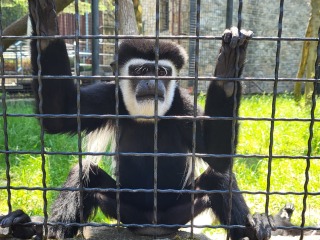 Wycieczka do ZOO w Zamościu 