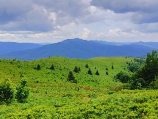 Wycieczka w Bieszczady 